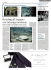 Restyling all`Acquario con tartaruga messicana