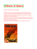 Special – Note Storiche di Third Reich