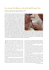 pdf - Fondazione Internazionale Menarini