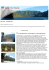 focus su - Tahiti Nui Travel