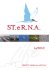 Azioni - Progetto Sterna Stintino