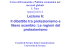 19. Il commercio preferenziale