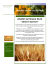 Cereali_Brochure 004