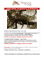 503_LODGE SAFARI IN BOTSWANA E ZIMBABWE_2015