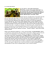 LA GANG DEL BOSCO La gang del bosco, nuovo film di
