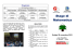 Depl Stage Matematica nov 2015 def
