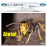 webMagazine - La Gazzetta della Spezia