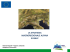 la macro regione alpina