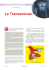 Le Transaminasi