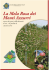 La Mela Rosa dei Monti Azzurri - Unione Montana dei Monti Azzurri