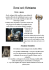 8 Armature del Medioevo