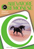 allevatore rivista 2-2003