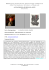 Amato – grafica d`arte Biennio, a.a. 14-15