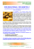 crs educational: crs genetica 1