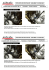 istruzioni di montaggio / assambly guidelines istruzioni