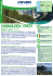 Grafica - Sacacomie Mailing