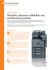 Flessibile, efficiente e affidabile: una - TA Triumph
