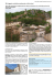 verso Sud - Locanda dell`istrice