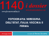 1140 – fotografia nerissima dell`istat, italia vecchia e ferma