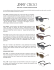 JIMMY CHOO – 2013/2014 EYEWEAR COLLECTION