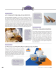 Visuailizza il PDF