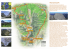 depl.Y truoi dai sclops gb - Parco Naturale Dolomiti Friulane
