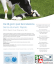 Test post fecondazione da 28 giorni