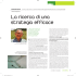 La ricerca di una strategia efficace