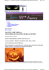 la zucca piu` bella, concorso scolastico di halloween