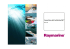 Convertitore Dati Seatalk I SeaTalkNG