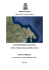 Schema Rapporto Preliminare