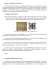 versione in PDF - click qui