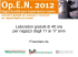 Laboratori gratuiti di 40 ore per ragazzi dagli 11 ai 17 anni
