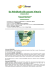 Da Windhoek alle Cascate Vittoria - Italian web