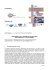 Visualizza la relazione integrale