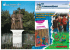 scarica pdf - In Comunione