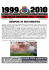 fanzine CREMONESE-perugia