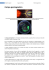Il campo geomagnetico