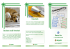 BancoLite BancoLite EasyCash Gestione studi