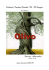 tesina olivo Ferrero