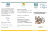 Comprensione del testo - Associazione Italiana Dislessia