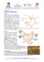 Fisiologia Anatomia Dermatologia - Schede 71