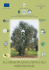 imp. germ. oliv. lucano - Scuola di Scienze Agrarie, Forestali