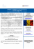 EXPORTour: ROMANIA opportunità di business
