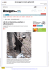 Se lo si incontra, parlare e allontanarsi