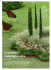 View Pdf - Barbara Negretti