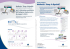 Brochure - Doctor Shop