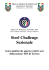 Programma Steel Challenge Sezionale