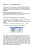 Pdf della pubblicazione