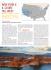 NEW YORK E IL CUORE DEL WEST